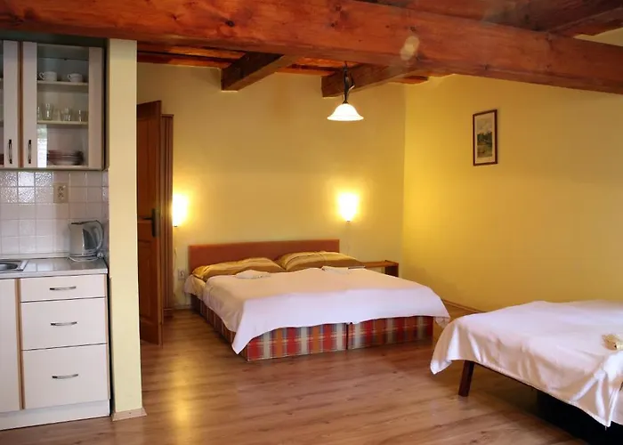 克雷门尼斯克旅馆 2* Banská Štiavnica